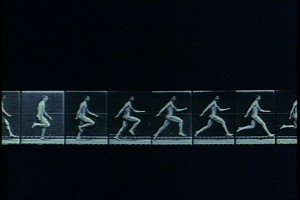 muybridge1