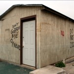 XY Chromosome Project #3 “Cinematic Seeds and Mordant Vines”