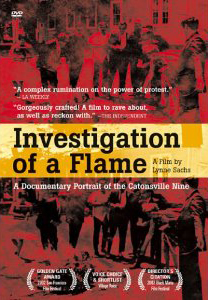 InvestigationofaflameDDcover InvestigationofaflameDDcover