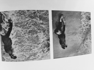 Vito Acconci Drifts 4